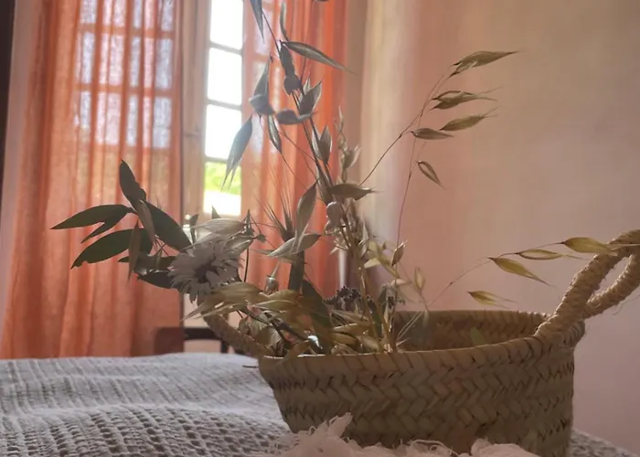 La Manufacture Royale 1739 Montolieu